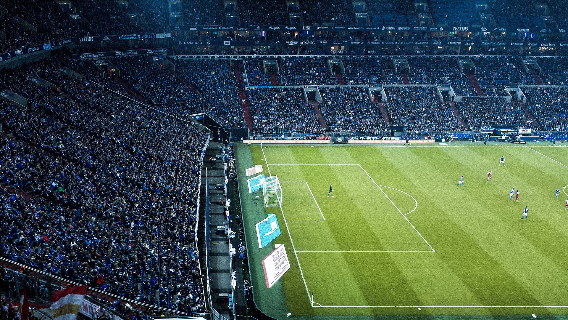 全球体育热点盘点